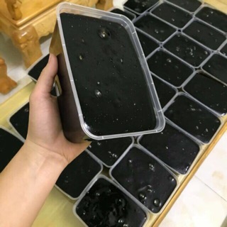 BỘT SƯƠNG SÁO Làm thạch đen