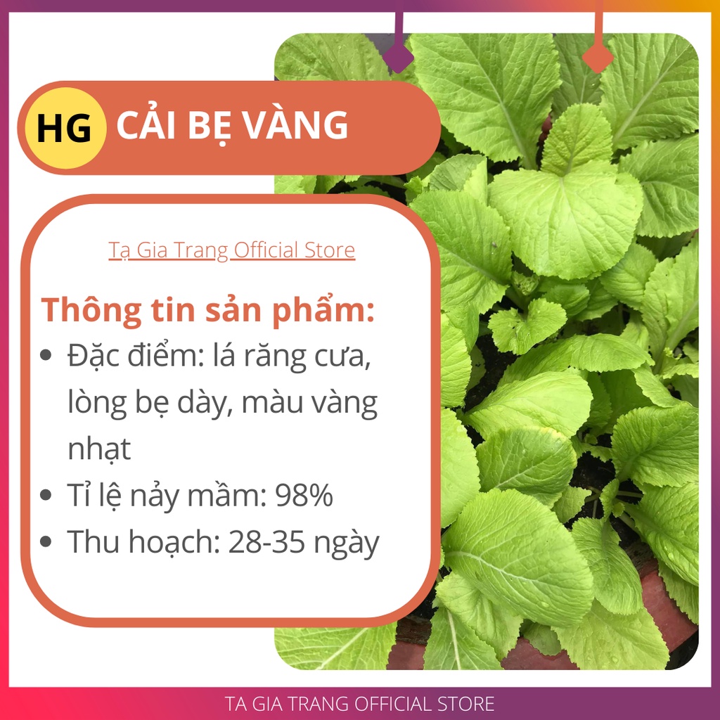 Hạt giống cải bẹ vàng - Shop hạt giống Tạ Gia Trang | Gói 20g