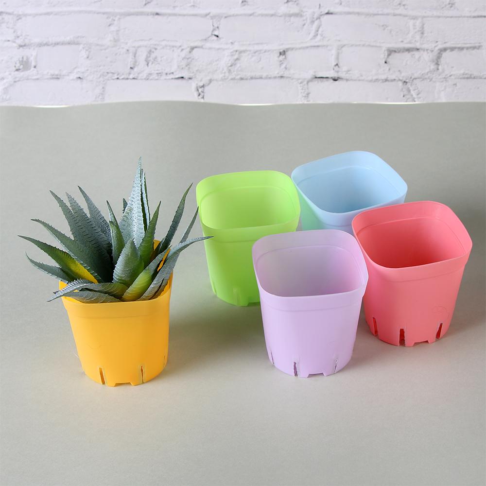 Set 10 Chậu Hoa Mini Bằng Nhựa Màu Sắc Ngẫu Nhiên