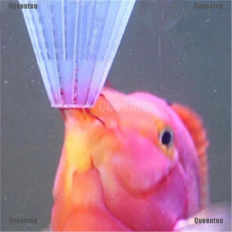 ★Nữ Hoàng★Set 4 Dụng Cụ Cho Cá Ăn Hình Nón