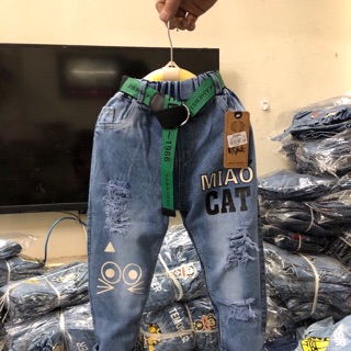 20q bò 10 áo gió