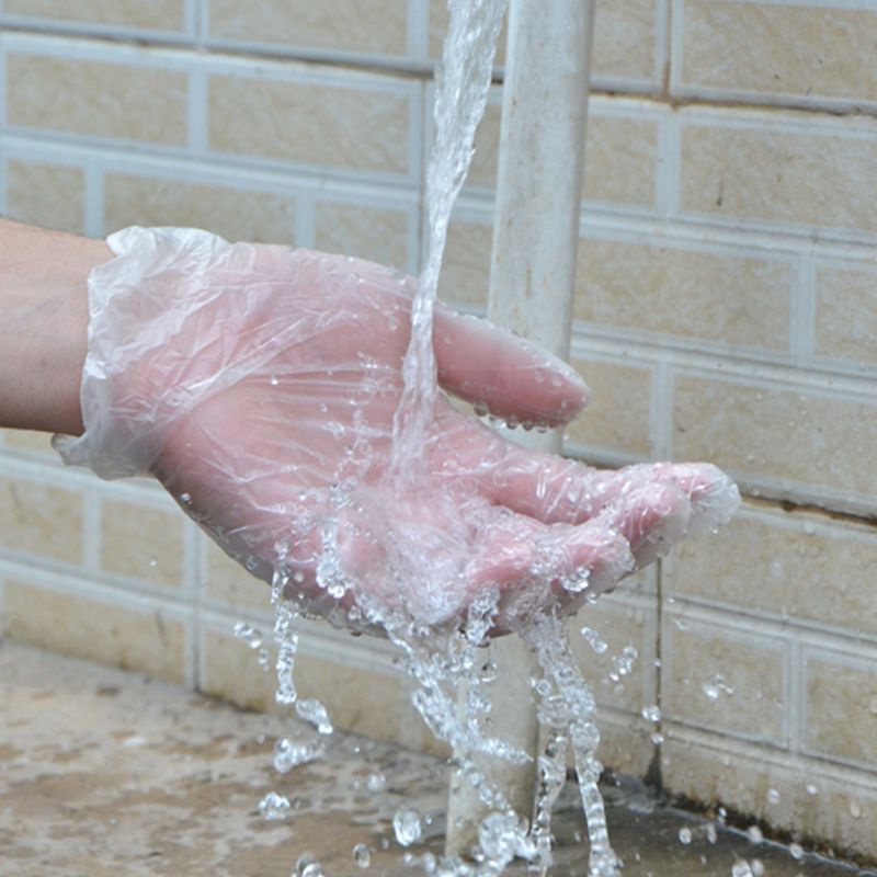 Găng Tay Vinyl Trong Suốt Dùng Một Lần Bảo Vệ Khi Kiểm Tra Thức Ăn