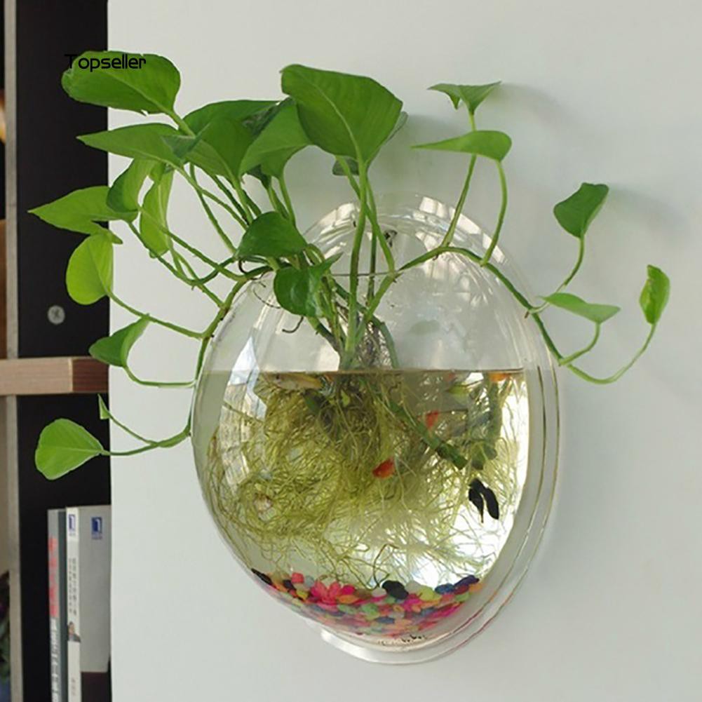 Set bình hoa thủy sinh gắn tường bằng acrylic hình tròn trong suốt đẹp mắt