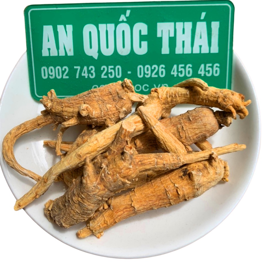 Sâm Tây Dương (Tây Dương Sâm) Thượng Hạng Bổ Khí, Dưỡng Âm, Nhân Sâm Hoa Kỳ Nguyên Củ (Vàng, Đẹp) Bồi Bổ Sức Khỏe