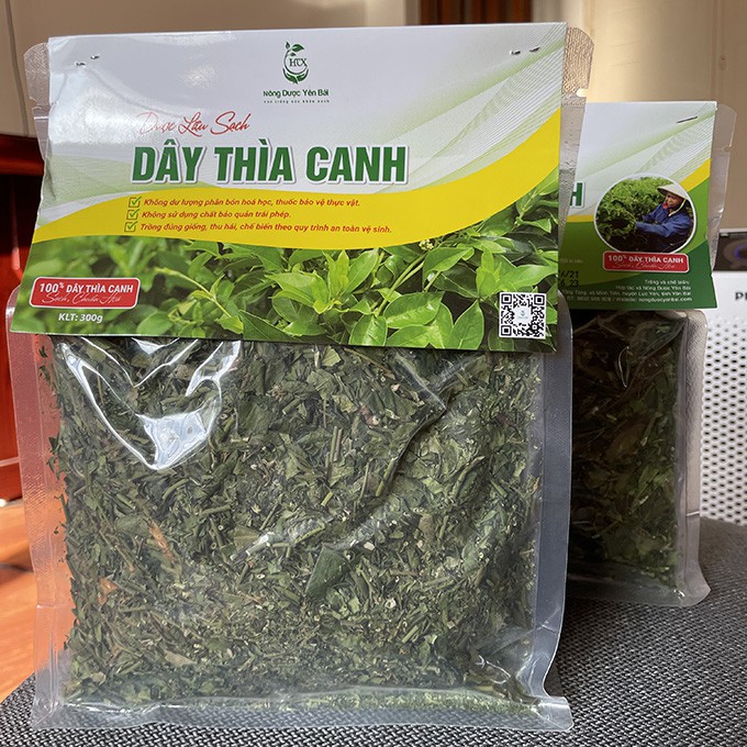 Dây thìa canh khô  – trà dây thìa canh sạch, chuẩn GACP