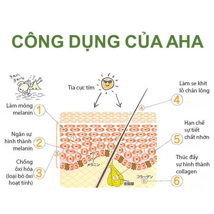 Serum CAO CẤP 8% AHA cấp ẩm, tẩy tế bào chết và giảm mụn
