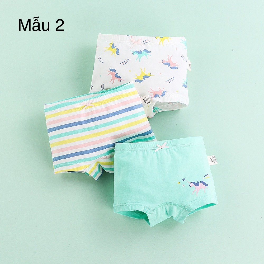 Bảng màu 1 - Set 3 chip đùi nhiều mẫu BG size 100 - 160