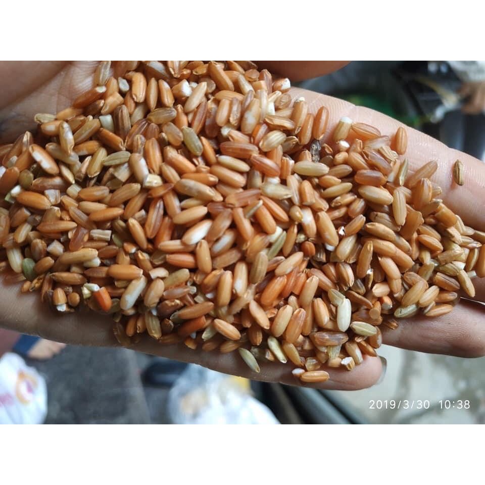 2Kg gạo lứt đỏ Điện Biên hút chân không An Khang Food - gạo dẻo, không ngâm, giảm cân | BigBuy360 - bigbuy360.vn