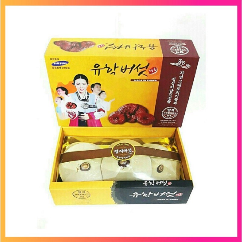 Nấm Linh Chi Hàn Quốc, Bụng Nấm Màu Vàng Thường, Hộp Hình Cô Gái 1 Kg, Giúp Giải Nhiệt Và Thải Độc Cơ Thể