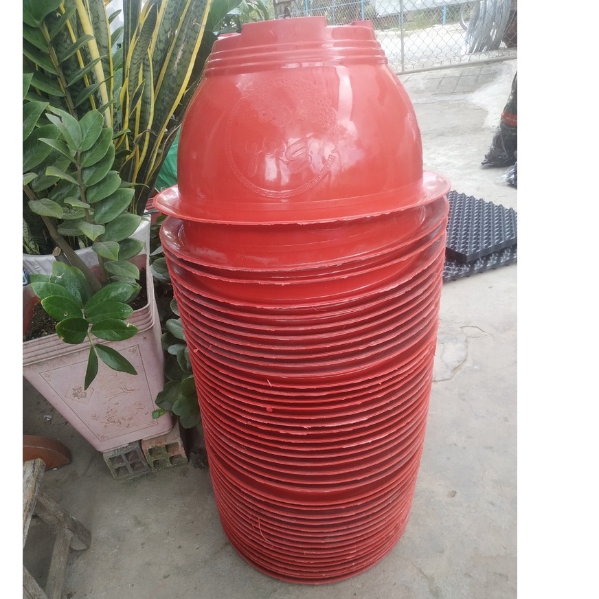 Chậu Nhựa Trồng Cây Truyền Thống T48, kích thước chậu 48x22x25cm