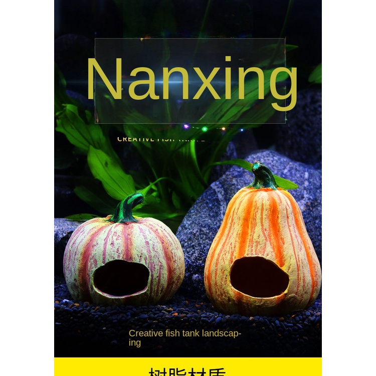 1 Ngôi Nhà Quả Dứa Trang Trí Bể Cá