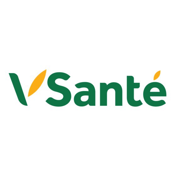 Vsanté