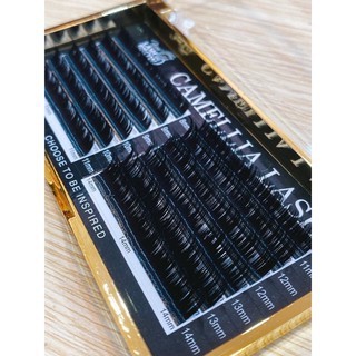 Lông Mi Sole Không Có Trật Tự - Độ Cong C D - Mi Khay Camelia Cao Cấp - Mi Chính Hãng Hani