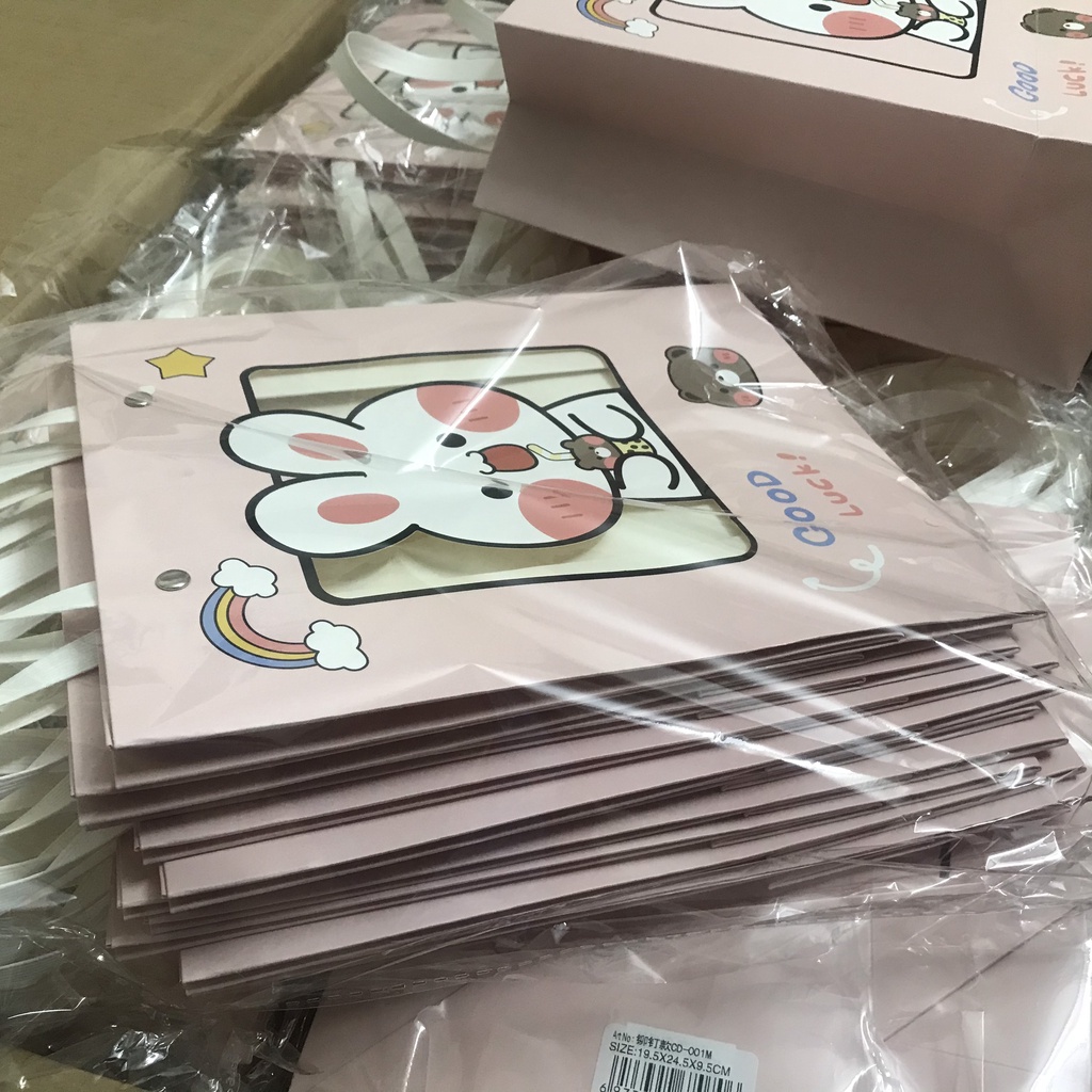 Túi đựng quà giấy sang trọng, Túi gấu gói quà nhiều màu đẹp