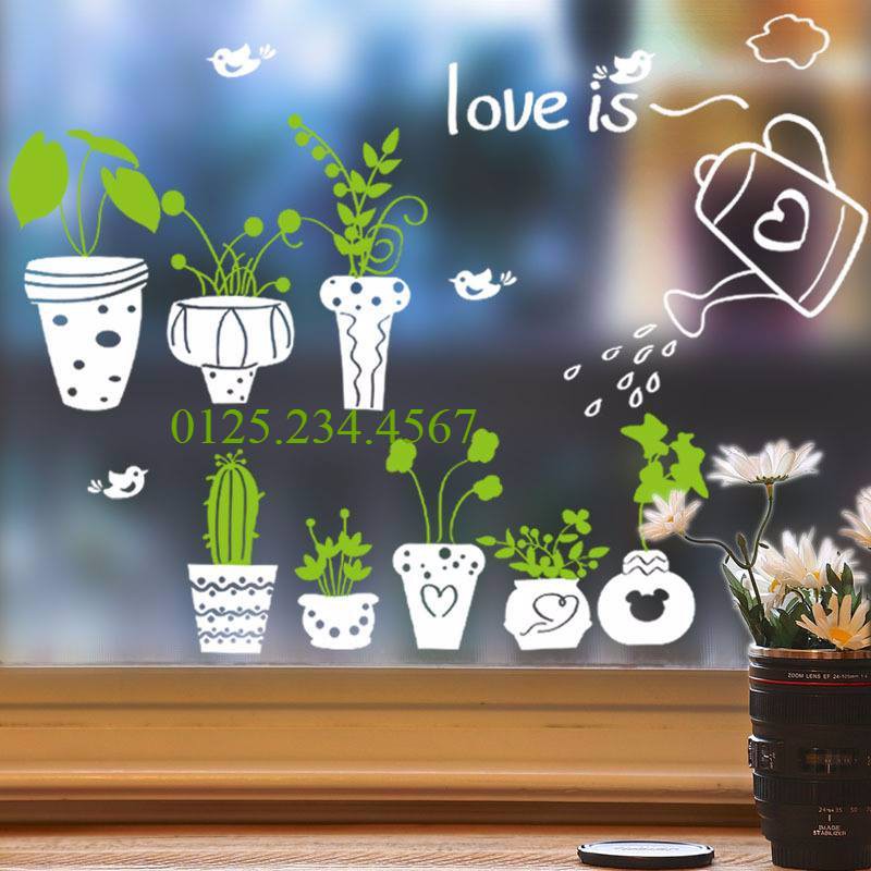 Decal dán tường Chậu cây xanh dán kính