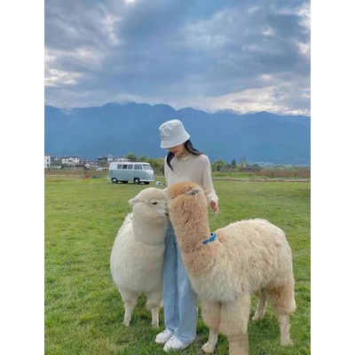 Áo croptop trắng dệt kim Rosé Jennie Blackpink