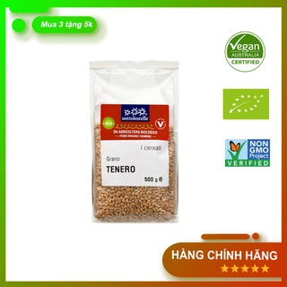 [Hạt Giống] Cỏ Lúa Mì Hữu Cơ Sottolestelle Tỉ Lệ Nảy Mầm Cao 97%, Nảy Mầm Nhanh - Ép nước 1kg