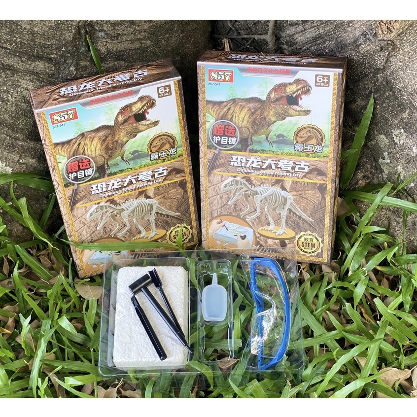 Đồ Chơi Khảo Cổ - Sưu Tầm Hóa Thạch Khủng Long T-rex
