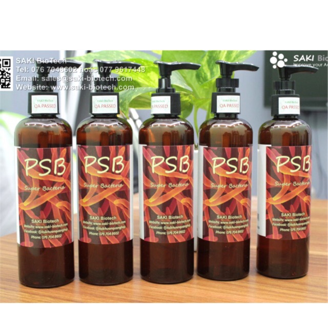 Vi Khuẩn Quang Hợp PSB 250ml (Hàng công Ty)