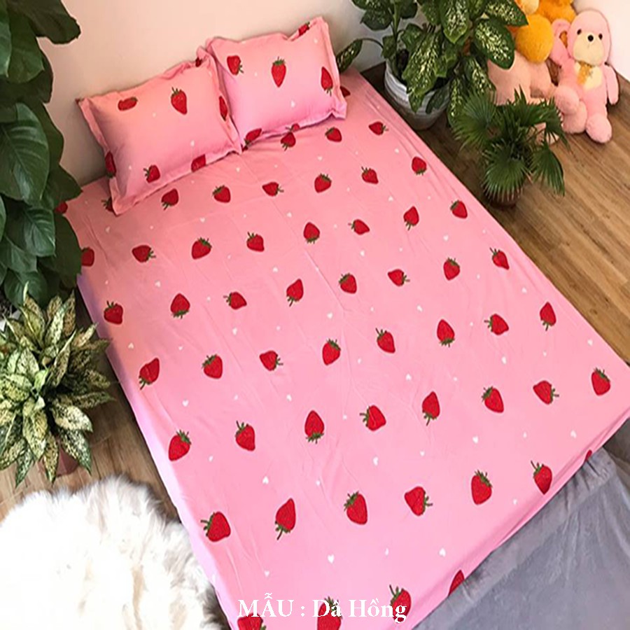 Bộ Ga gối Cotton Poly Emmidecor Các Mẫu Hoa