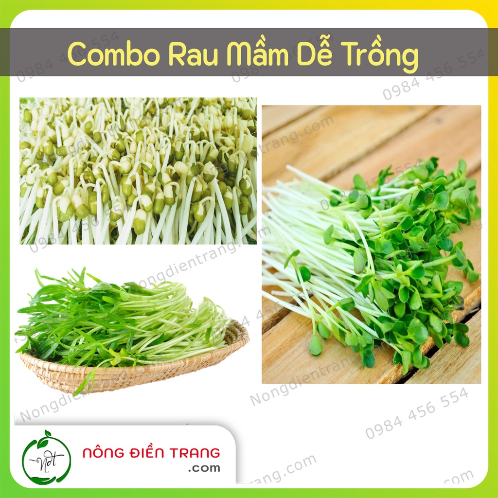 Combo Rau Mầm Rau Muống, Rau Mầm Củ Cải Trắng (Cải Mầm), Rau Mầm Đậu Xanh (Mầm Giá) -VTNN Nông Điền 