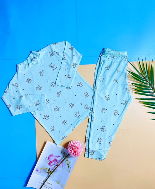 Bộ avaler dài tay cho bé