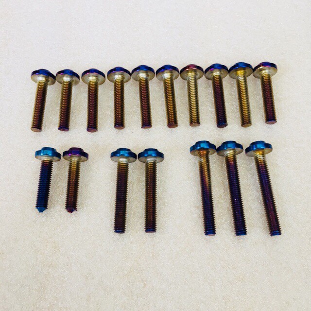 Bộ Ốc Lốc Máy Proti Titan cho WIINER 150 V1 17 con