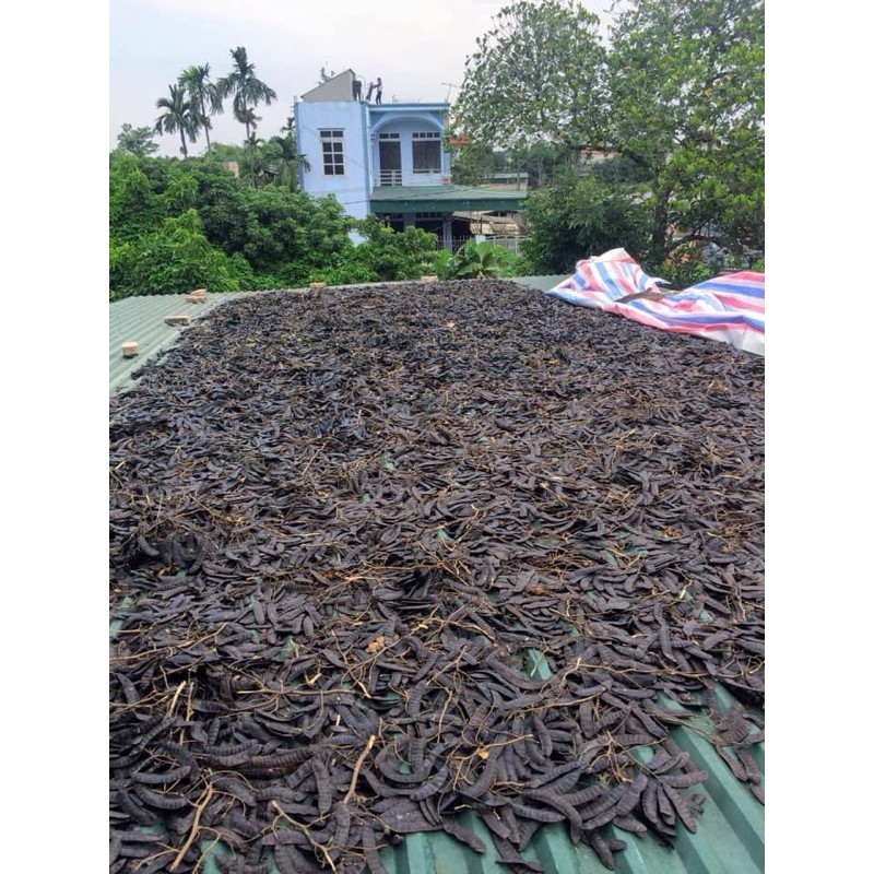 Bột bồ kết túi lọc - Thảo dược gội đầu bồ kết túi lọc - Hộp 10 túi x 10g | BigBuy360 - bigbuy360.vn