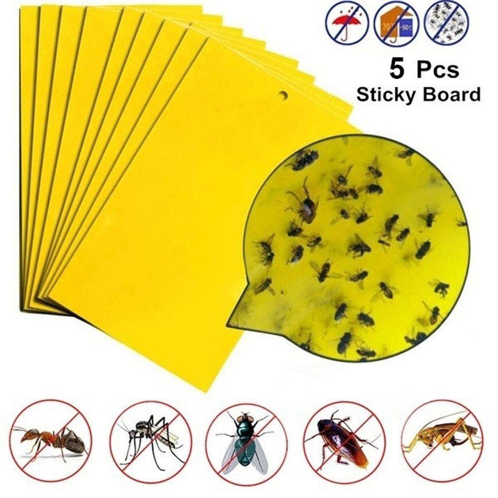 Set 5 Keo Dán Bẫy Ruồi Muỗi / Côn Trùng Treo Nông Trại Ngoài Trời