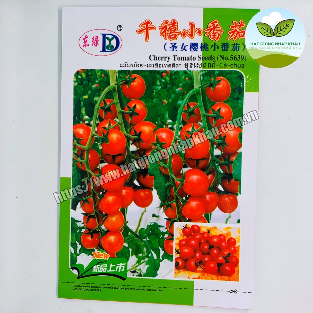 Hạt giống cà chua chuỗi ngọc đỏ . 0,5 gr/gói