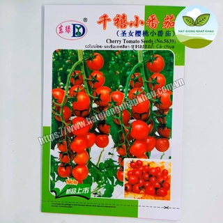 Hạt giống cà chua chuỗi ngọc đỏ . 0,5 gr/gói