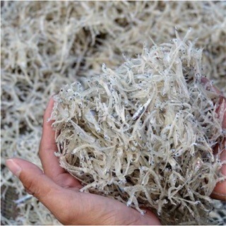 Cá mờm sữa sahu (100gr)