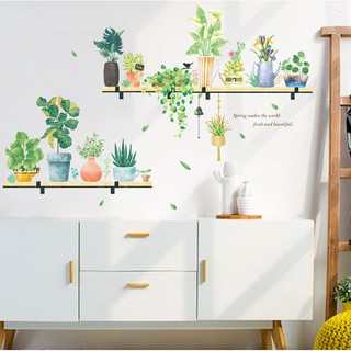 Decal dán tường 3 tầng chậu cây xanh
