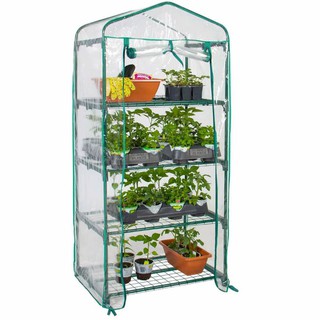 Mini greenhouse, nhà kính mini trưng, dưỡng cây trồng sen đá, xương rồng, kiểng lá