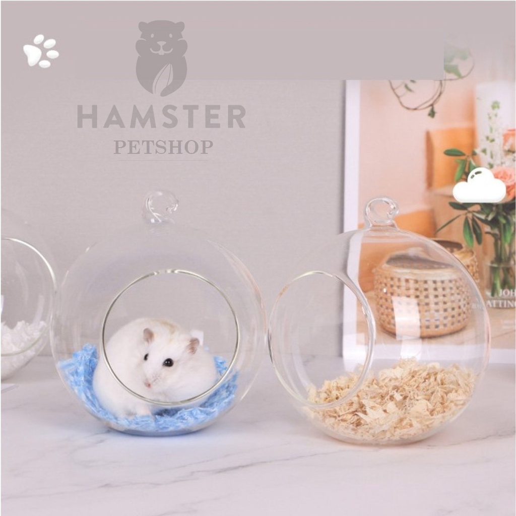 Nhà ngủ sang trọng bằng kính cho Hamster