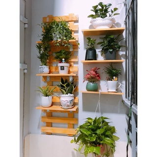 giá để cây cảnh mini treo ban công kệ treo tường bằng gỗ thông