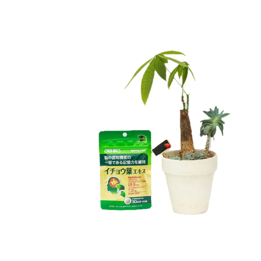 Viên uống bổ não Orihiro Ginkgo Biloba 120 viên