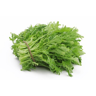 Hạt Giống Cải Đuôi Phụng (Cải Mizuna, Rau Mù Tạt) Dễ Trồng, Nhanh Thu Hoạch