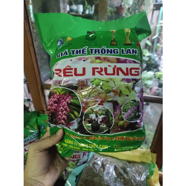 Rêu, dớn , trồng cây . Hàng cty chất lượng cao