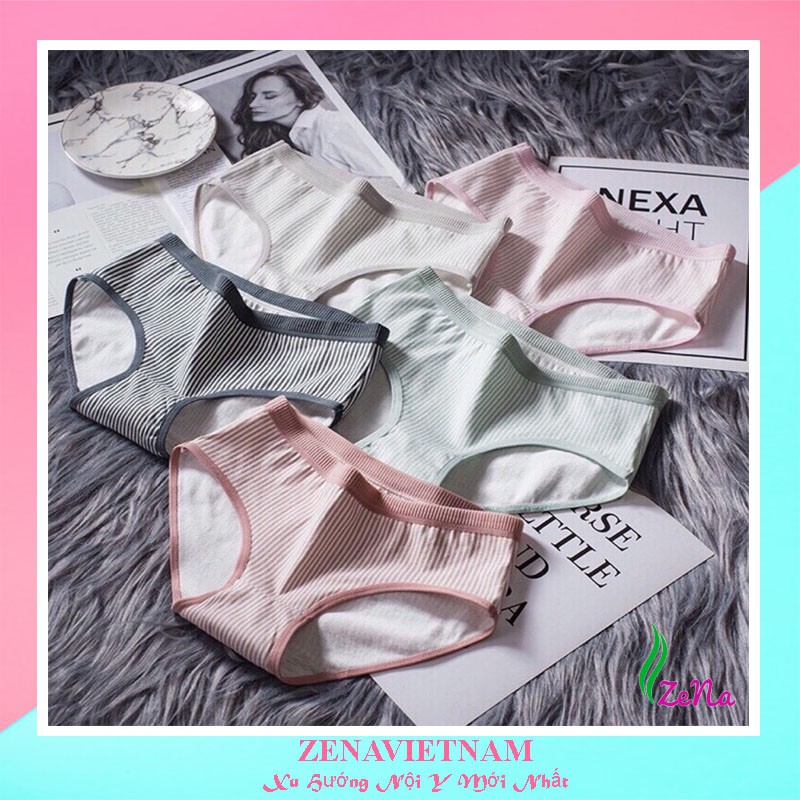 Quần Lót Cotton Kháng Khuẩn Phối Kẻ Siêu Đẹp ZE002 | BigBuy360 - bigbuy360.vn