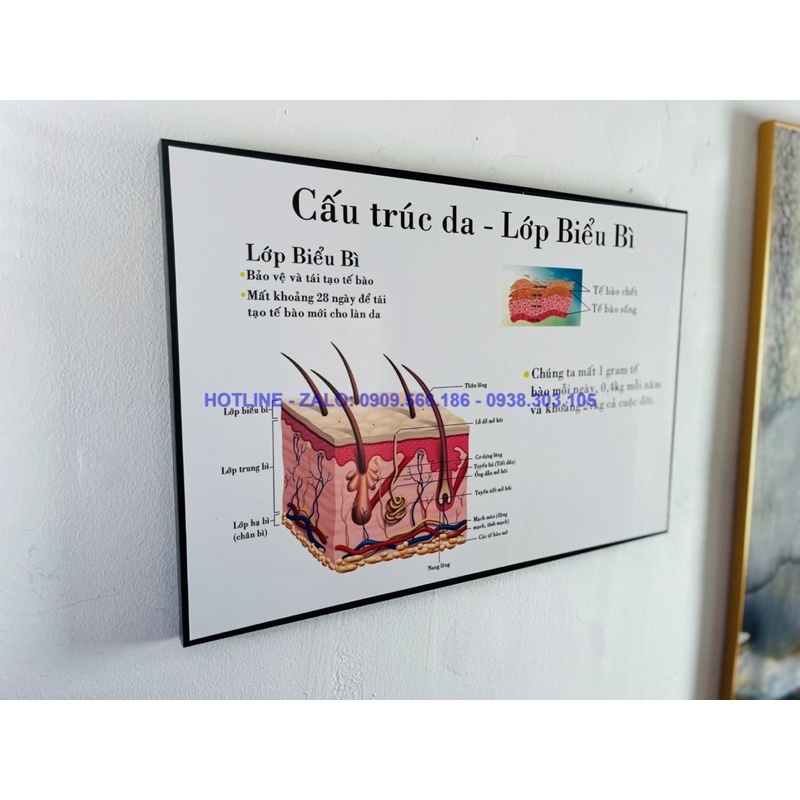 TRANH SPA TREO TƯỜNG ĐẸP CHĂM SÓC DA SANG TRỌNG HIỆN ĐẠI CHO SPA