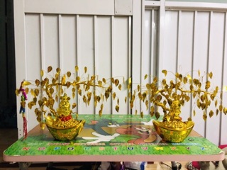 Cây thần tài