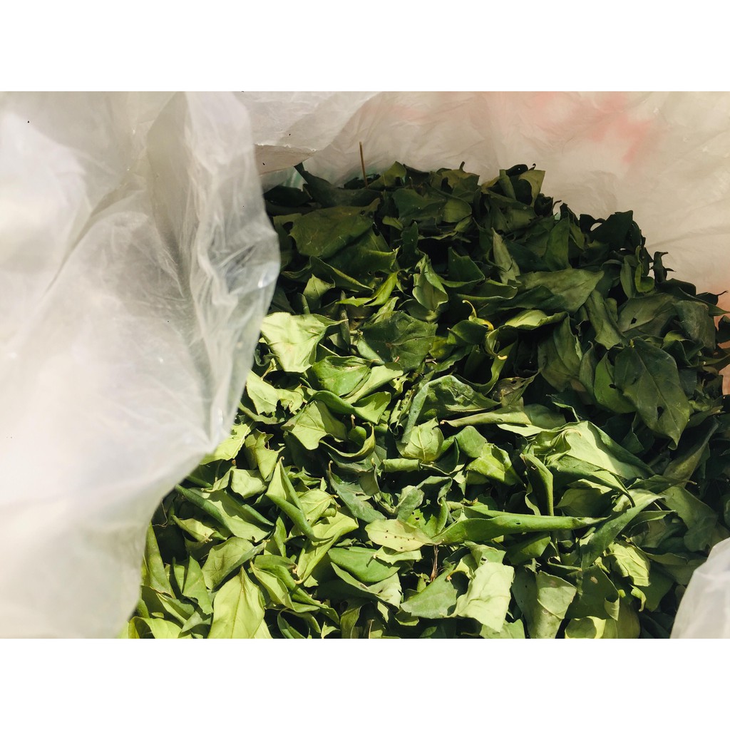 Lá găng khô làm thạch xanh khô 500g,1kg