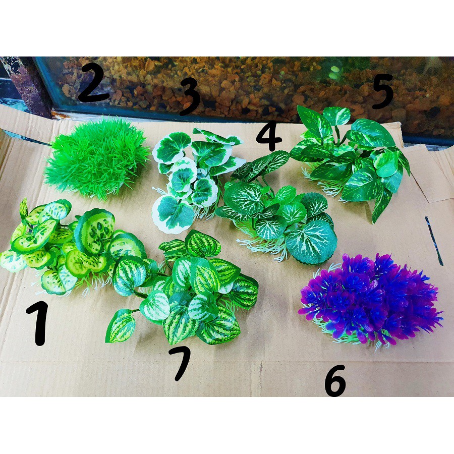 RONG TRANG TRÍ HỒ CÁ NON BỘ CAO 4CM