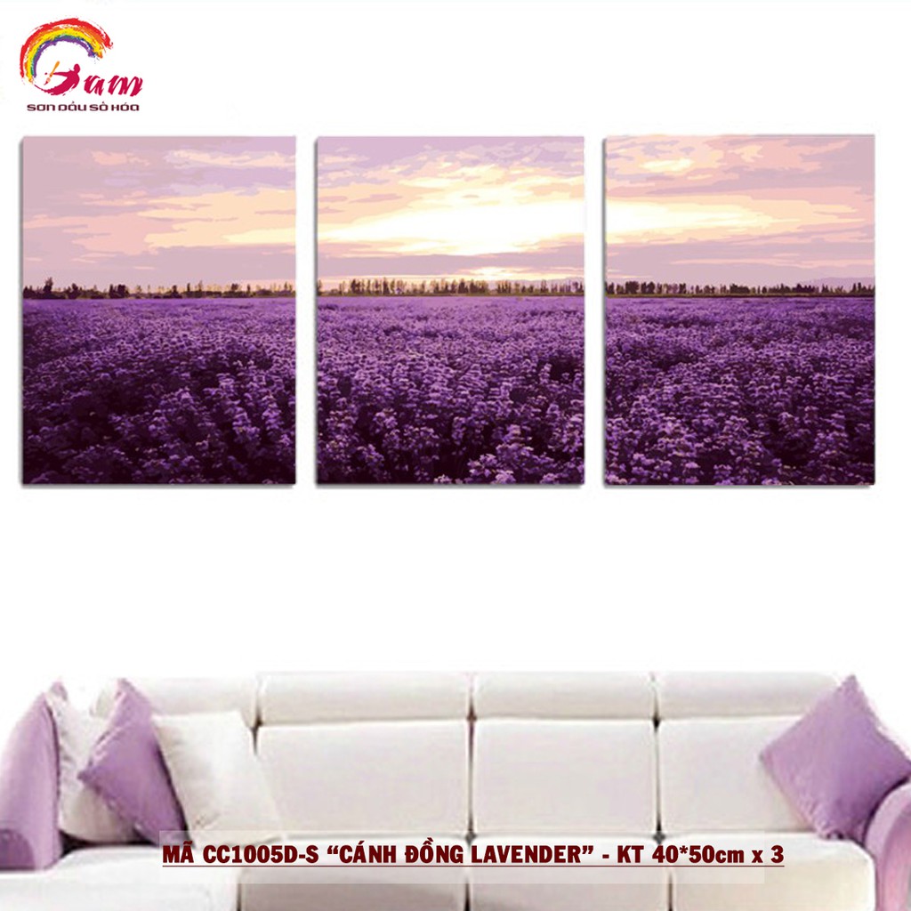 Tranh sơn dầu số hoá DIY tự vẽ Gam Cánh đồng Lavender mã CC1005DS