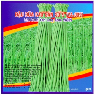 HẠT GIỐNG ĐẬU ĐŨA CAO SẢN SỐ 9