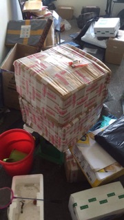 Freeship 99k TQ_Sỉ buộc tóc cho bé gái