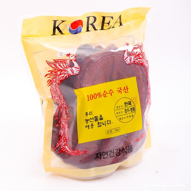 Nấm linh chi tai đỏ 6 năm tuổi Hàn Quốc