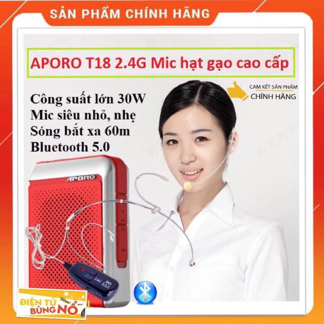 Loa trợ giảng Aporo T18 công suất 30W 2.4G Bluetooth 5.0 không dây