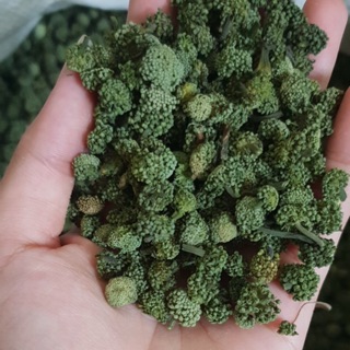 Nụ hoa tam thất - loại 1